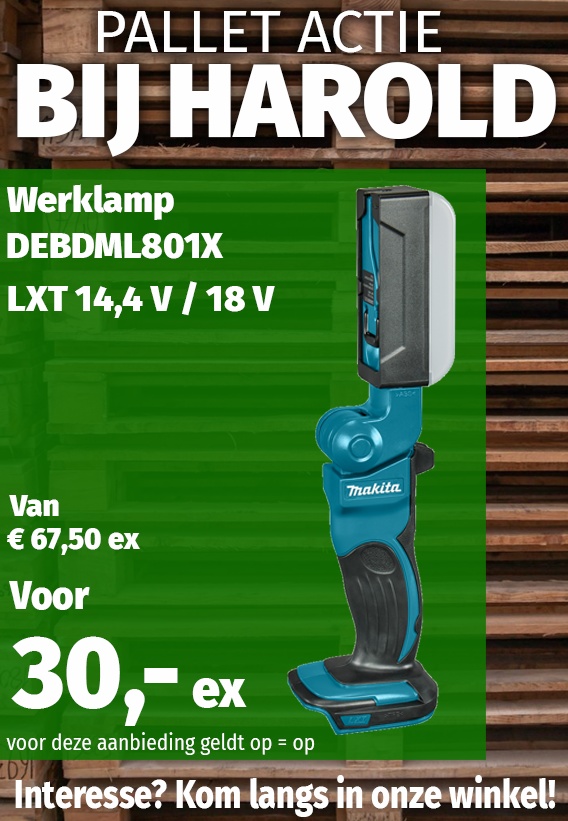 Werklamp DEBDML801X