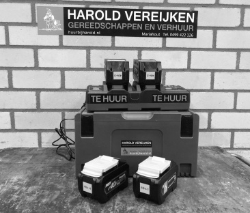 Bosmaaier Accu 2x40v 