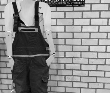 Kettingzaag benzine tophandle - 25 cm zaagblad 